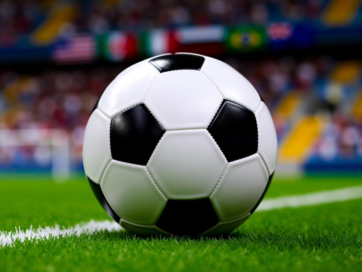 开云体育app下载-球队主场改建现身新气象，球迷震撼一新  第3张