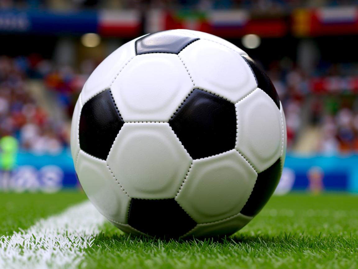 开云体育链接-技术雷达图展现男子100自优势,雷达技术百科全书 第3张