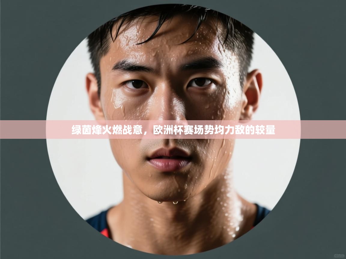 绿茵烽火燃战意，欧洲杯赛场势均力敌的较量  第2张