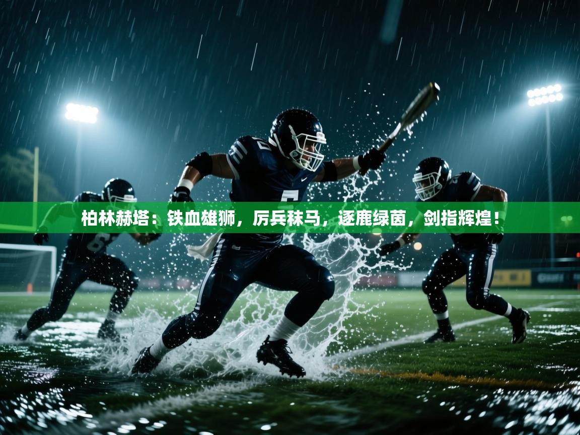 柏林赫塔：铁血雄狮，厉兵秣马，逐鹿绿茵，剑指辉煌！  第1张