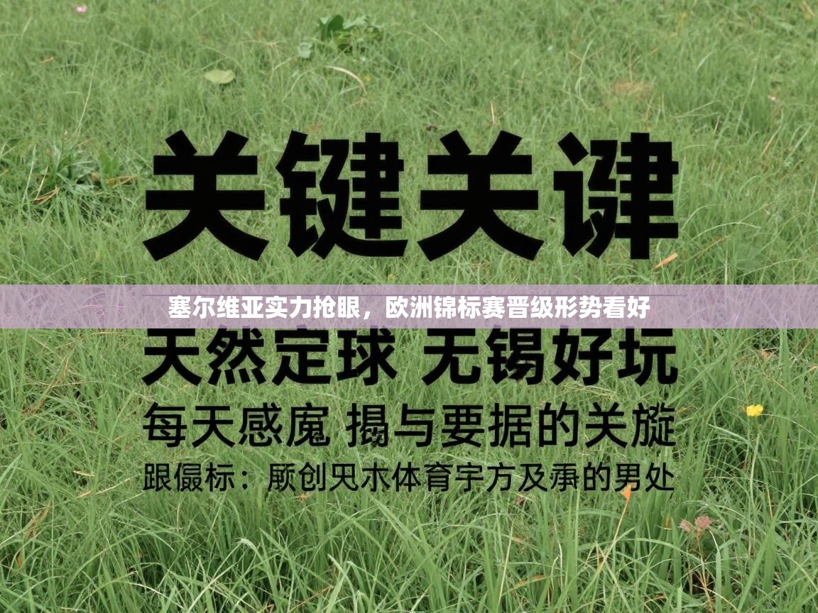 塞尔维亚实力抢眼,欧洲锦标赛晋级形势看好 第2张