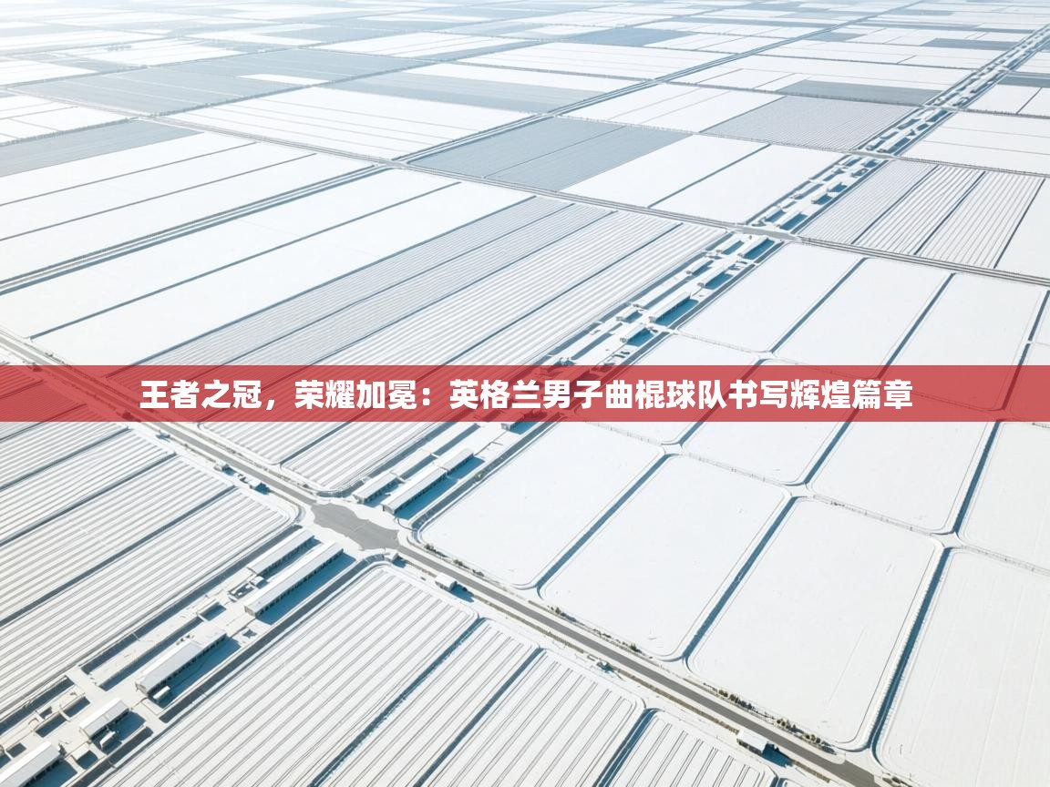 王者之冠，荣耀加冕：英格兰男子曲棍球队书写辉煌篇章